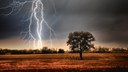 GettyImages-180132155_800x450.jpg