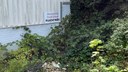Leser schlagen Alarm Fluchtweg Teaser