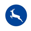 Verkehrsquiz 2