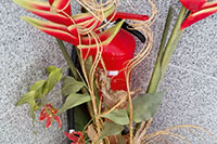 Feuerlöscher
